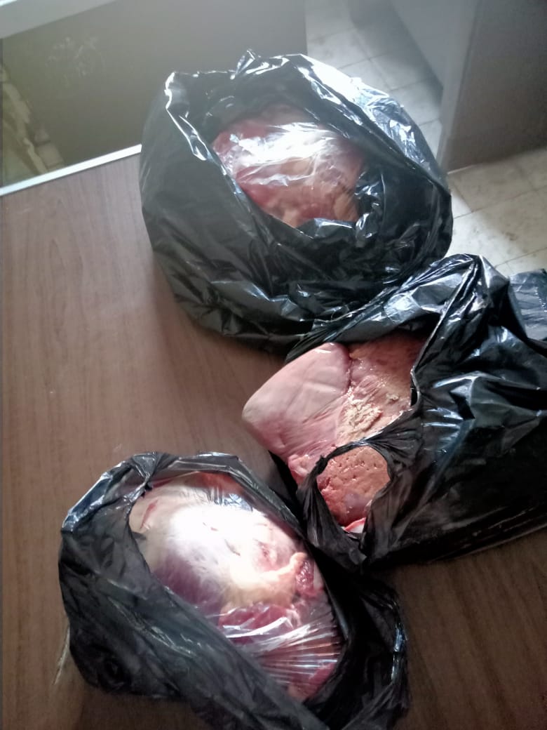 جانب من الحملة (1)