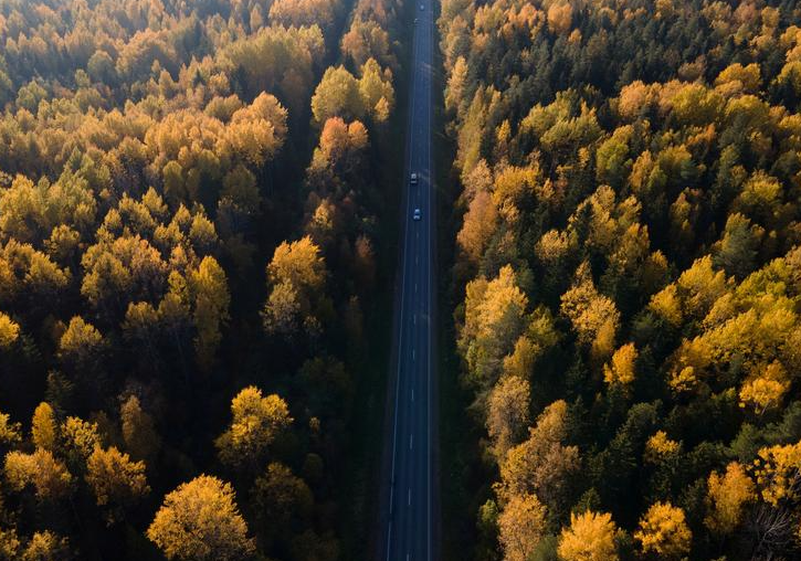 السيارات تسير على طول طريق وسط غابة بلون الخريف في روسيا