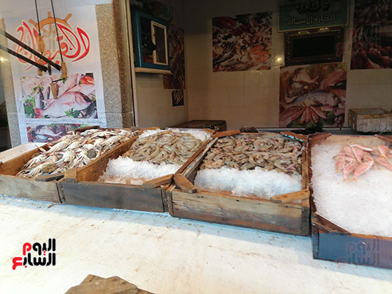 أحجام-الجمبري أحجام-الجمبري