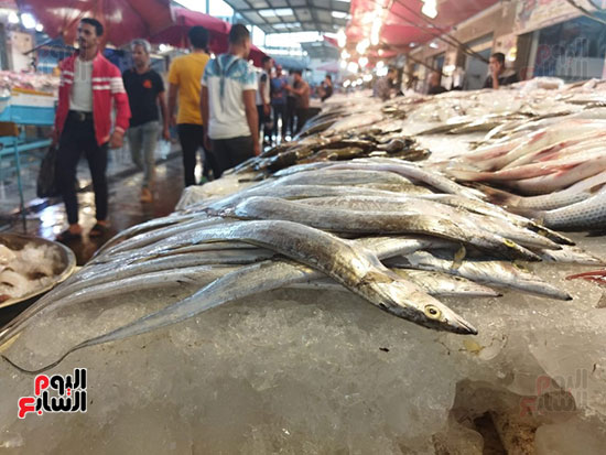 السيوف-ببورسعيد السيوف-ببورسعيد