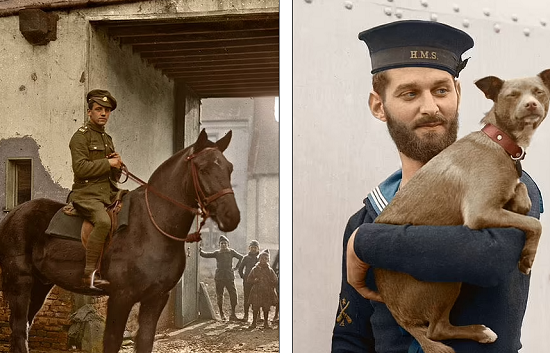 A dog and a horse in the Royal Canadian Army in 1916