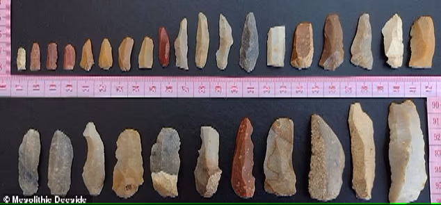أدوات العصر الحجرى