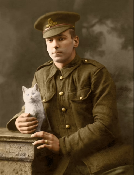 جندى بريطانى يلتقط صورة مع قطته عام 1917