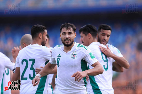 مباراة الجزائر وجيبوتى  (17)