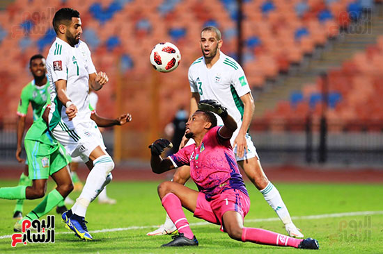 مباراة الجزائر وجيبوتى (4)