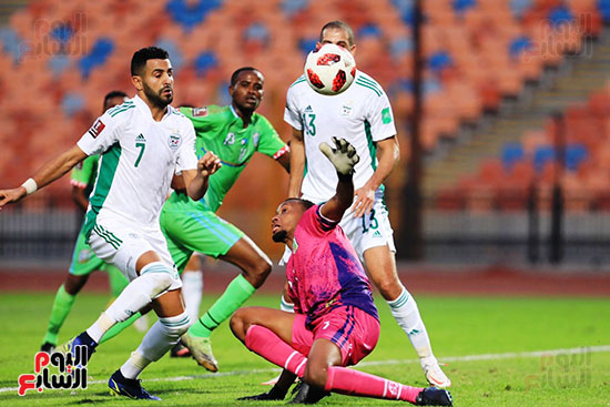 مباراة الجزائر وجيبوتى (5)