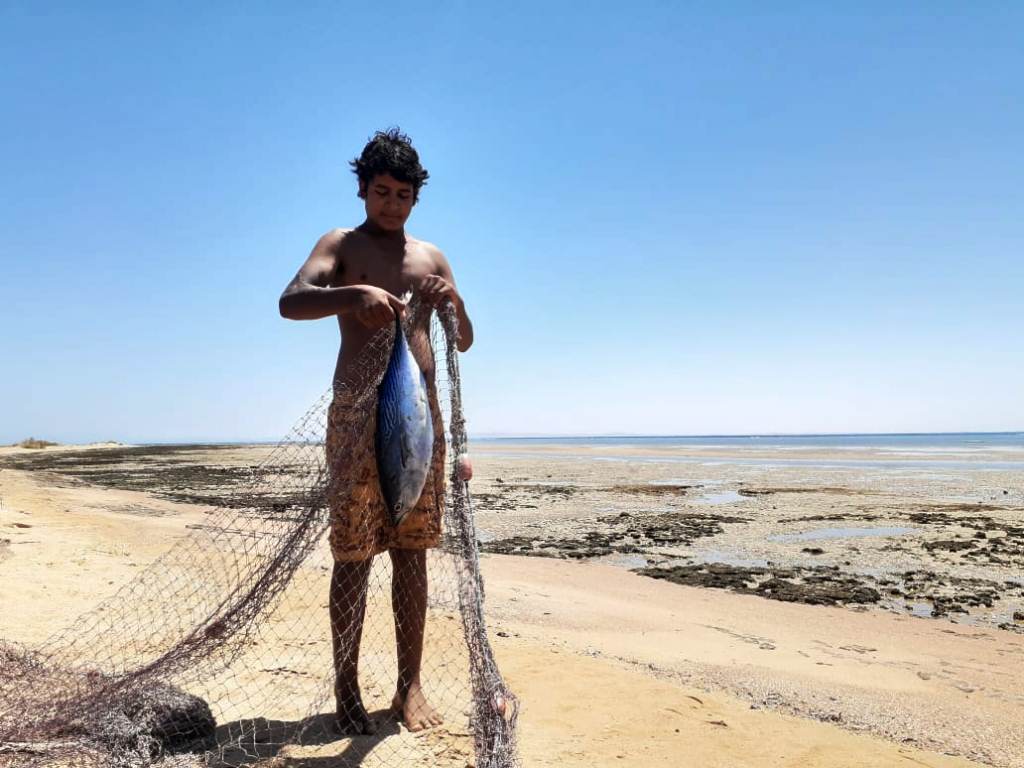 الصيد على  الشاطئ (صوره من المصدر)