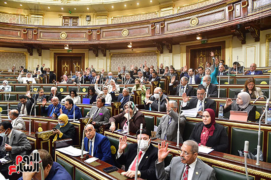 جلسة مجلس النواب برئاسة المستشارأحمد سعد الدين وكيل المجلس  (19)