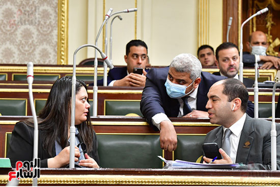 جلسة مجلس النواب برئاسة المستشارأحمد سعد الدين وكيل المجلس  (34)