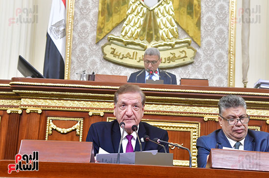 جلسة مجلس النواب برئاسة المستشارأحمد سعد الدين وكيل المجلس  (17)