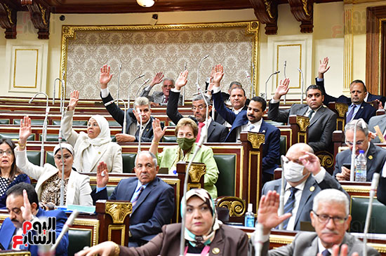 جلسة مجلس النواب برئاسة المستشارأحمد سعد الدين وكيل المجلس  (7)