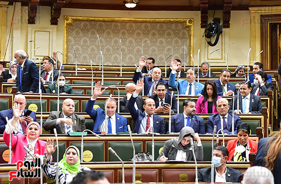 جلسة مجلس النواب برئاسة المستشارأحمد سعد الدين وكيل المجلس  (11)