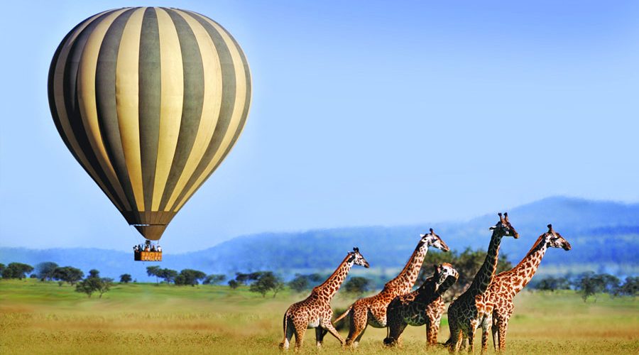 السياحة-في-كينيا-محمية-ماساي-مارا-الوطنية-900x500