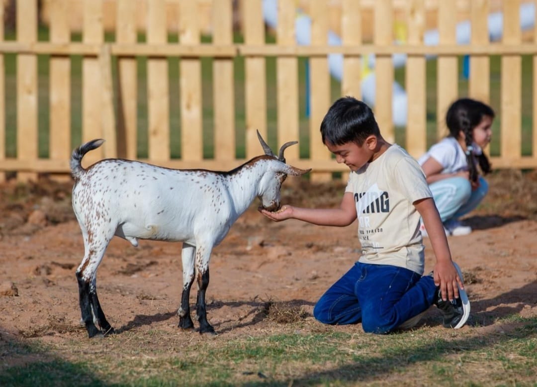 موسم الرياض (1)