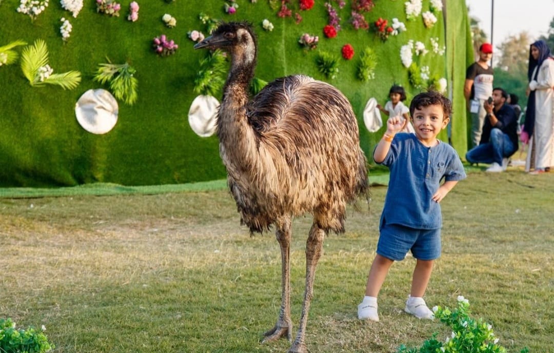 موسم الرياض (3)