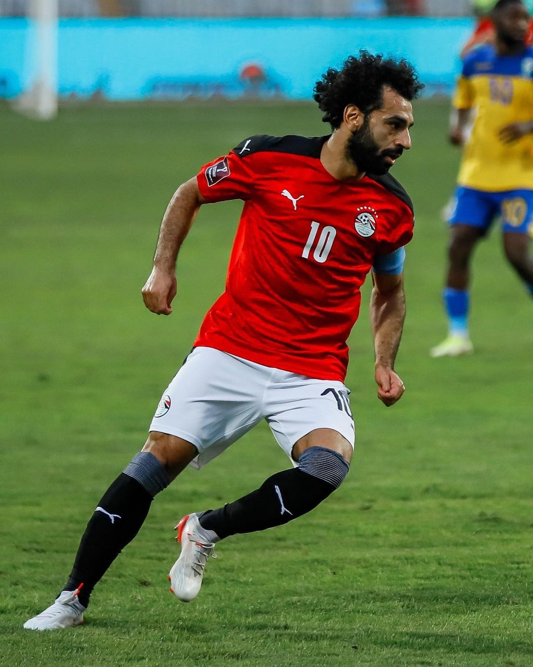 محمد ضلاح (1)