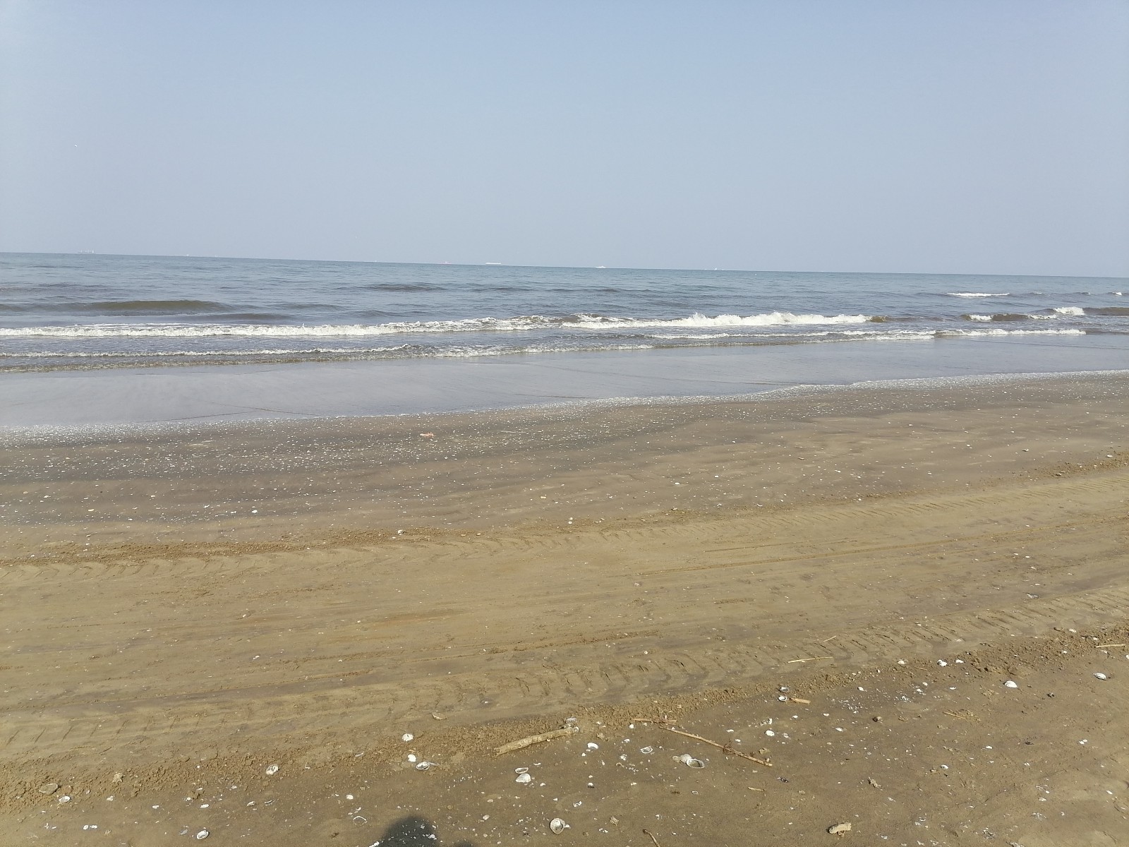 شاطئ المحافظة اليوم