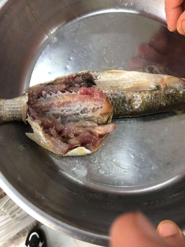 سمكة مملحة
