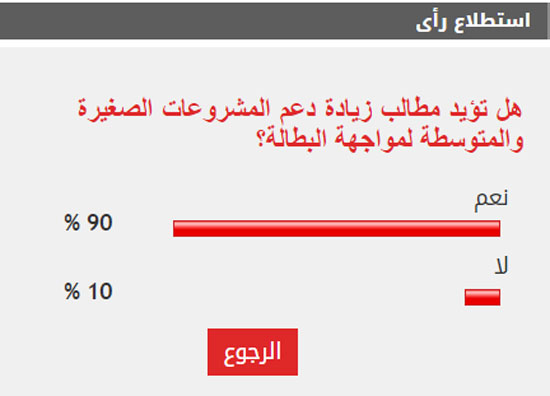 الاستطلاع