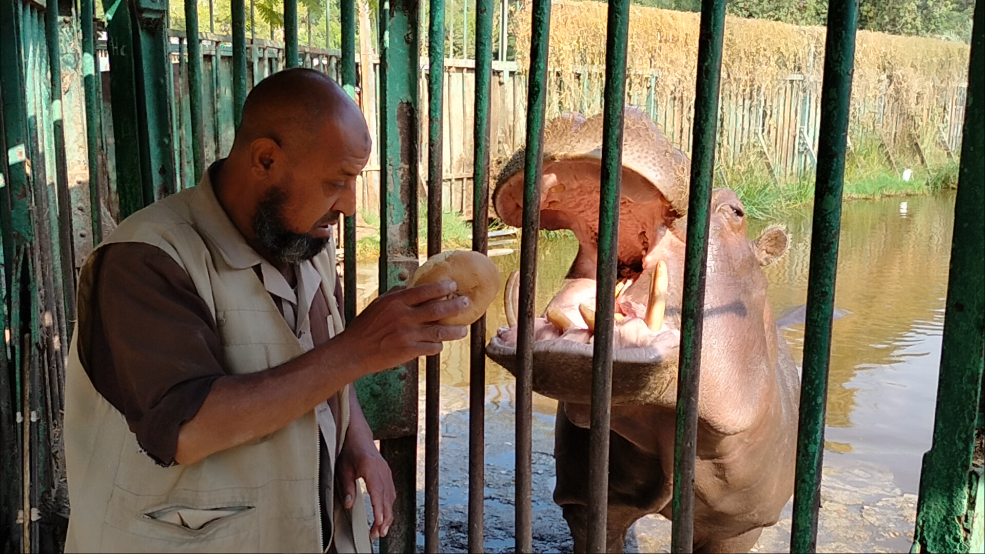 سيد قشطة يتناول وجبة الإفطار بحديقة حيوان الجيزة