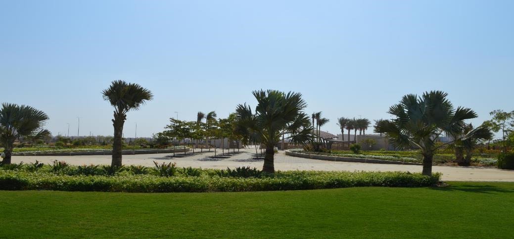 منطقة النهر الأخضر والحدائق المركزية  (4)