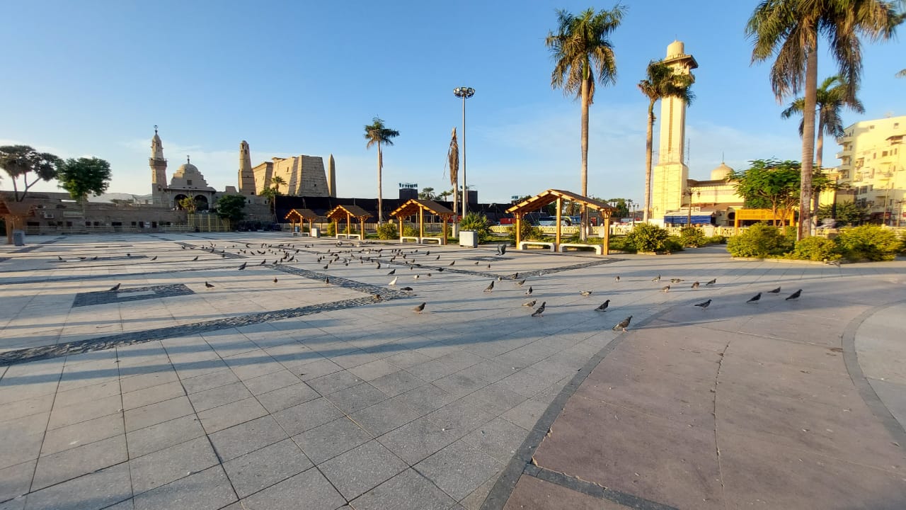 أسراب الحمام تحول ساحة مسجد أبو الحجاج الأقصرى لتحفة عالمية