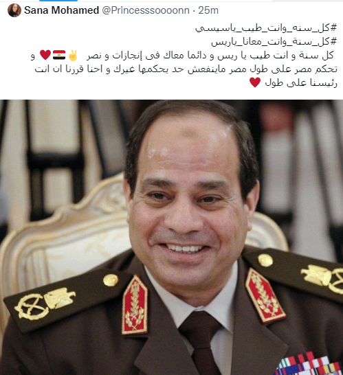 تهنئة المصريين للرئيس بعيد ميلاده (7)