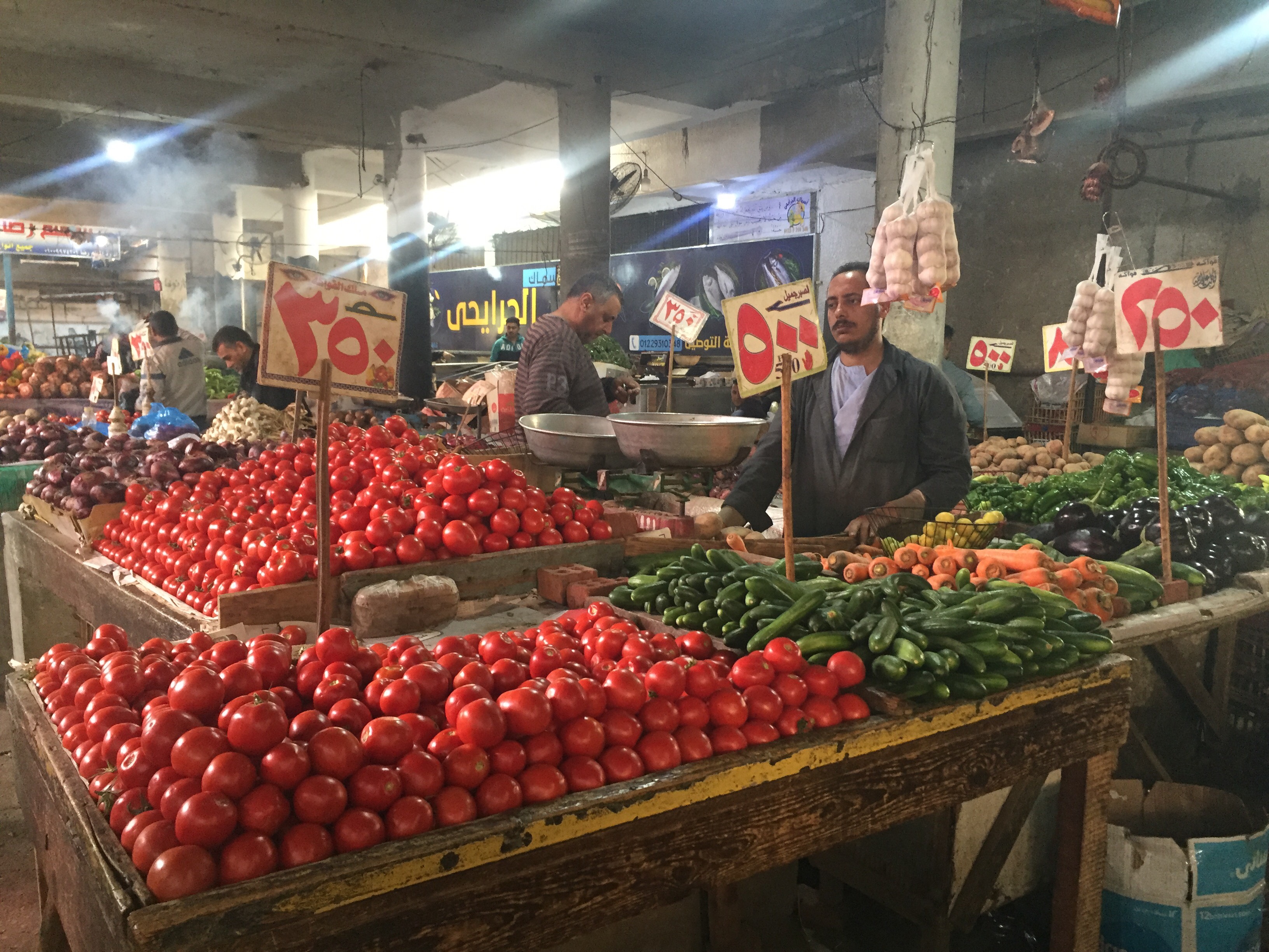 أسعار الخضروات في سوق الإسماعيلية (4)