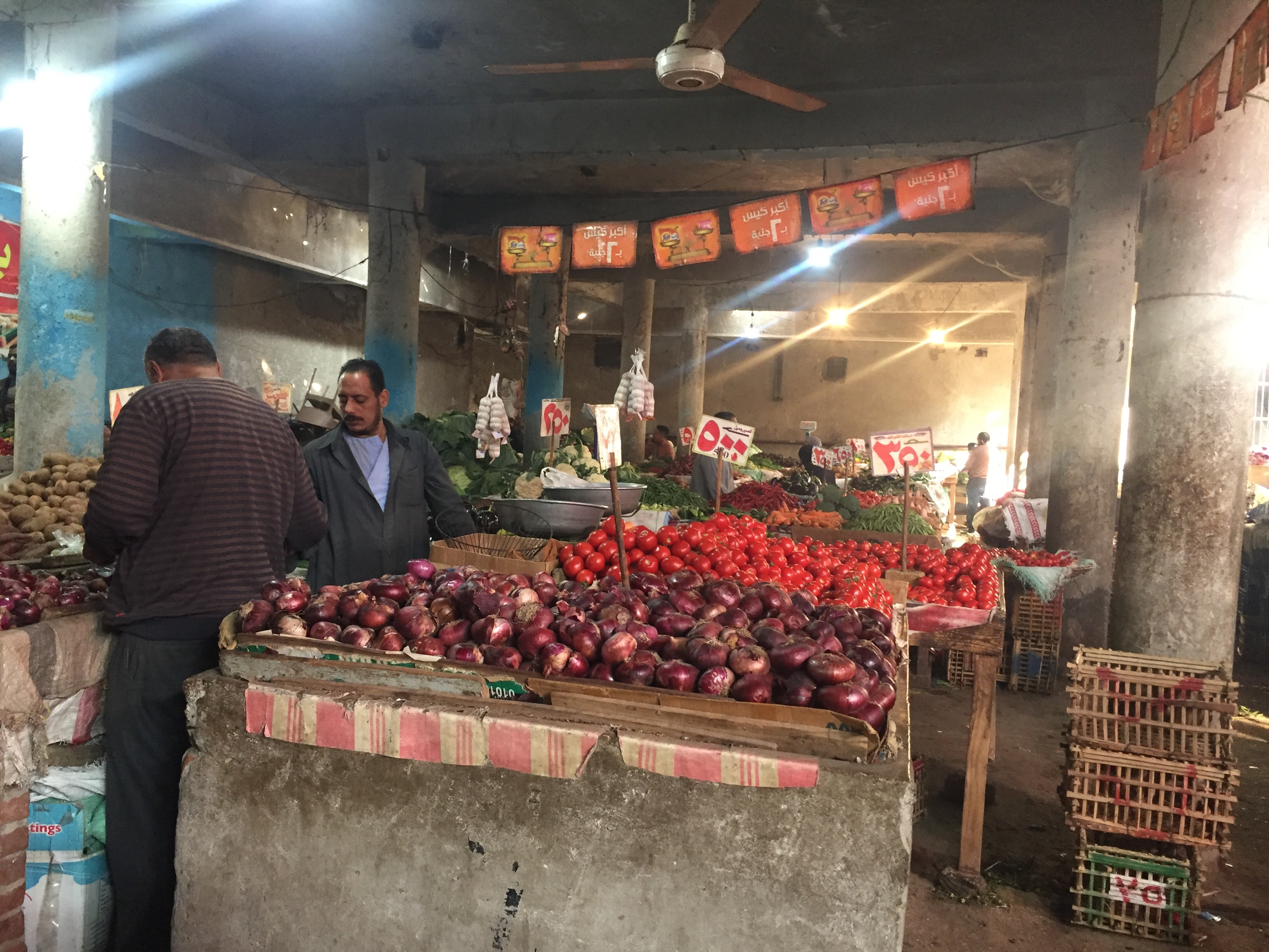 أسعار الخضروات في سوق الإسماعيلية (8)