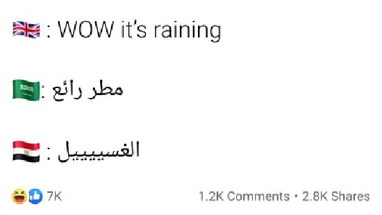 ماذا يفعل المصريين في المطر (1)