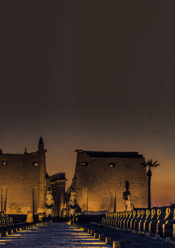 الكباش-4 الكباش-4