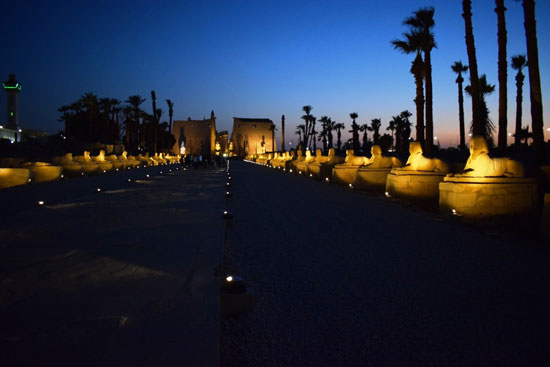 صورة-ليلية-لطريق-الكباش-وسحر-الحضارة-القديمة صورة-ليلية-لطريق-الكباش-وسحر-الحضارة-القديمة