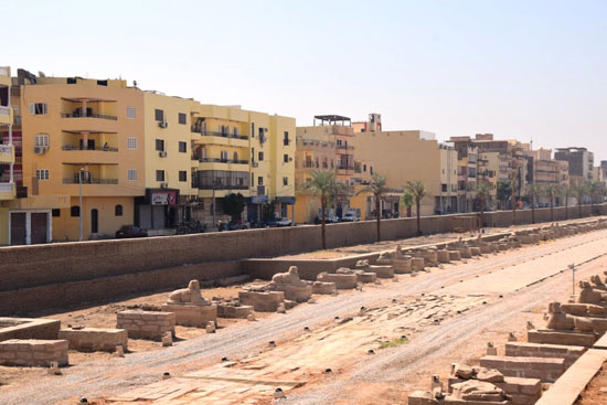 مشروع-احياء-طريق-الكباش مشروع-احياء-طريق-الكباش