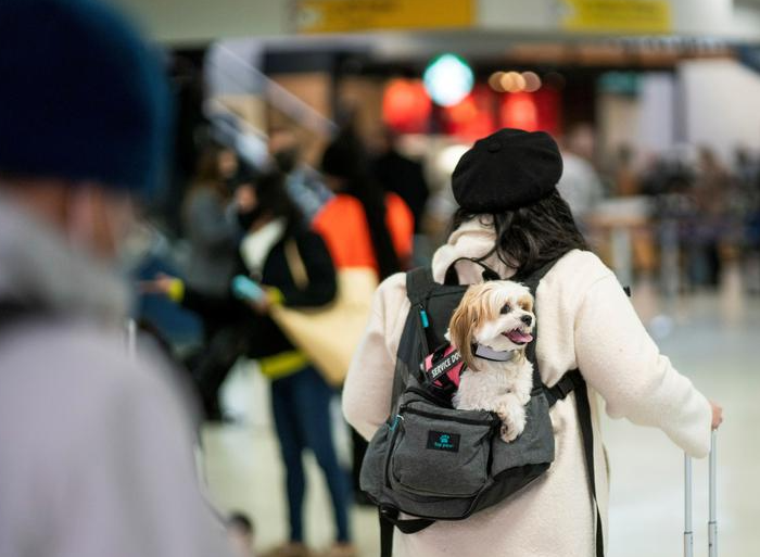 راكبة تسير مع كلبها عبر صالة الوصول في مطار نيوارك ليبرتي الدولي