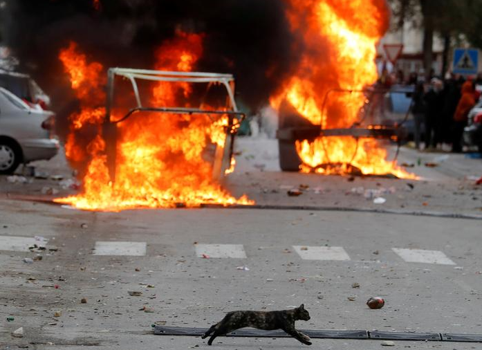 قطة تجري بالقرب من المتاريس المحترقة خلال إضراب عمال المعادن في إسبانيا
