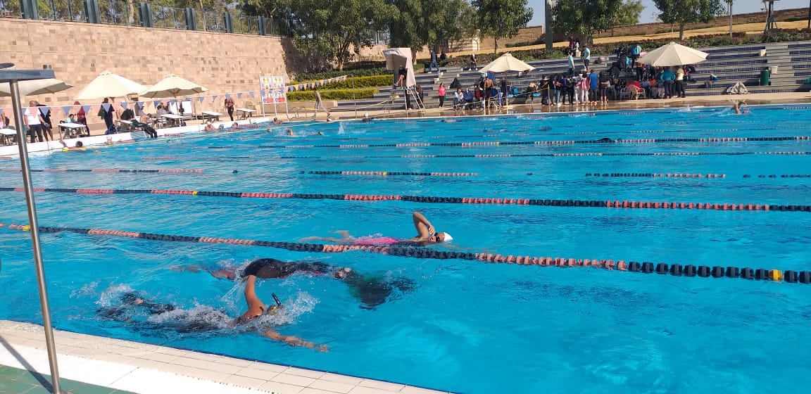 بطولتي السباحة وسباحة الزعانف للجامعات المصرية