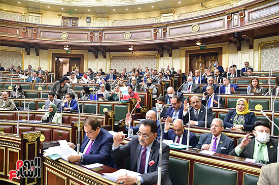 الجلسة العامة لمجلس النواب (25)