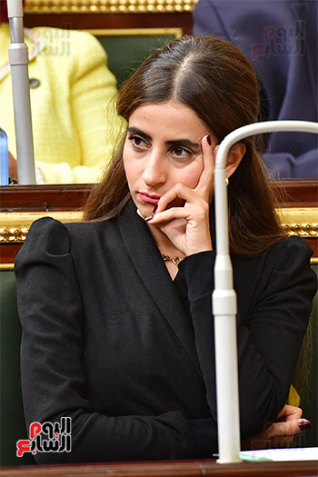 الجلسة العامة لمجلس النواب (19)