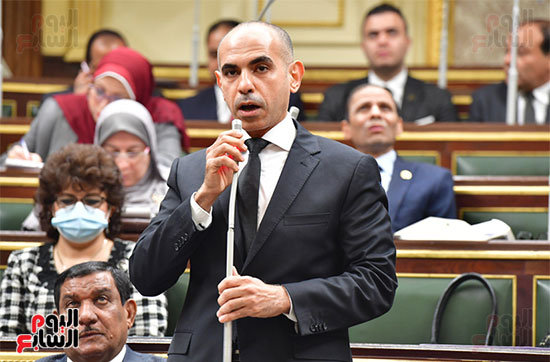 الجلسة العامة لمجلس النواب (33)