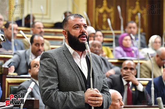 الجلسة العامة لمجلس النواب (16)