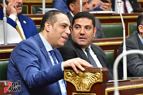 الجلسة العامة لمجلس النواب (7)