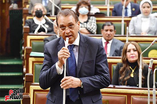 الجلسة العامة لمجلس النواب (20)