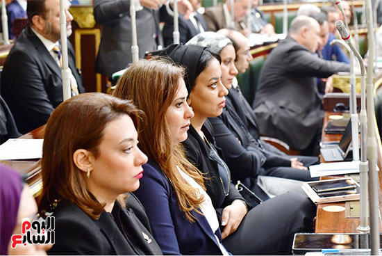 الجلسة العامة لمجلس النواب (15)