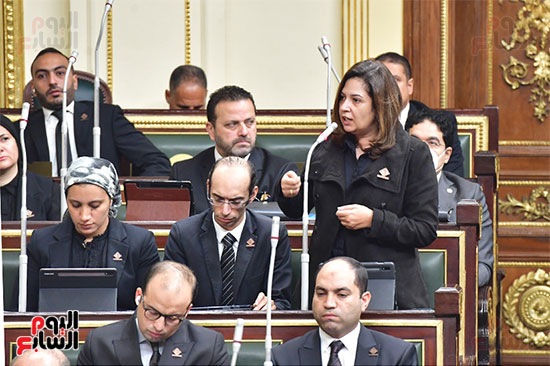 الجلسة العامة لمجلس النواب (10)