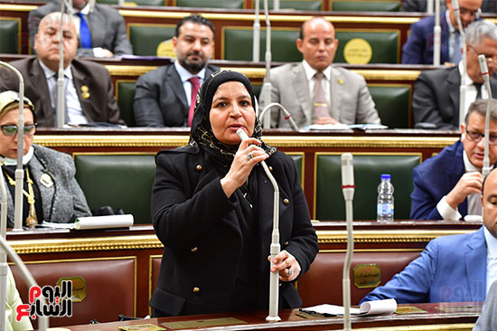 الجلسة العامة لمجلس النواب (17)