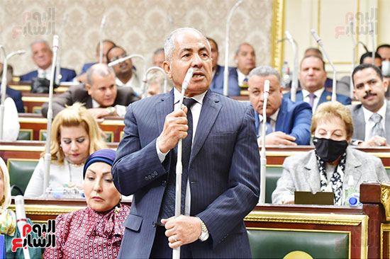 الجلسة العامة لمجلس النواب (28)