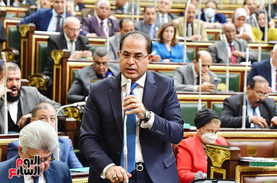 الجلسة العامة لمجلس النواب (8)