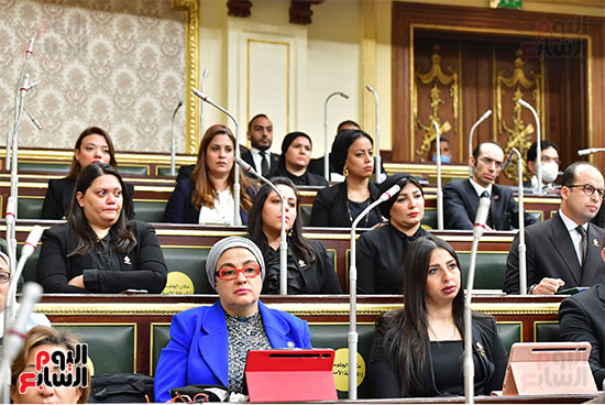 الجلسة العامة لمجلس النواب (29)