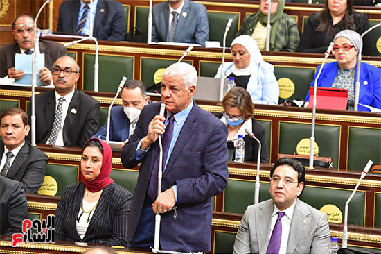 الجلسة العامة لمجلس النواب (11)