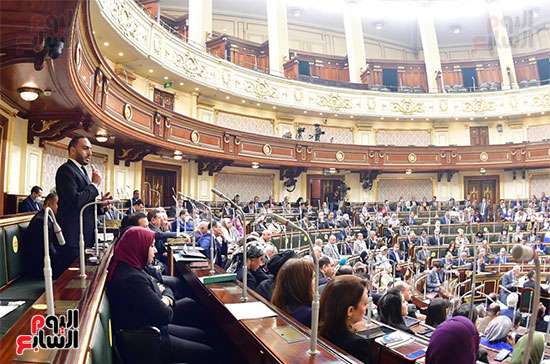 الجلسة العامة لمجلس النواب (2)